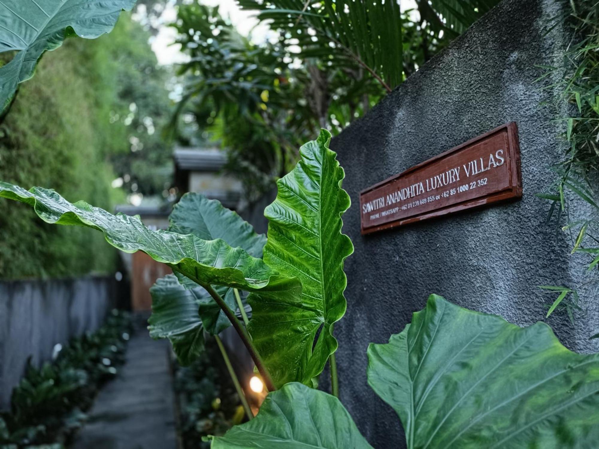 Sawitri Anandhita Luxury Villas ウブド エクステリア 写真
